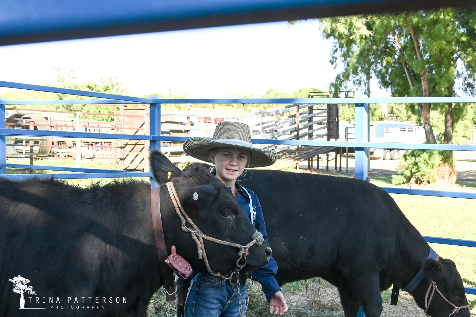 Winchester 2026 Springsure Cattle Camp
